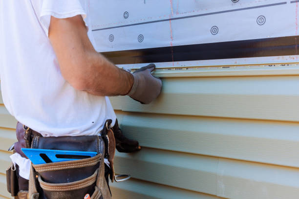 Affordable Storm Damage Siding Repair solutions in Mount Prospect, IL